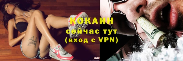 СК Алзамай